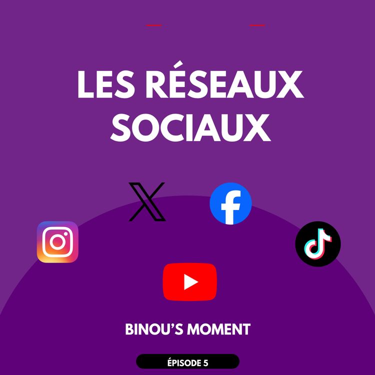 cover art for Les réseaux sociaux
