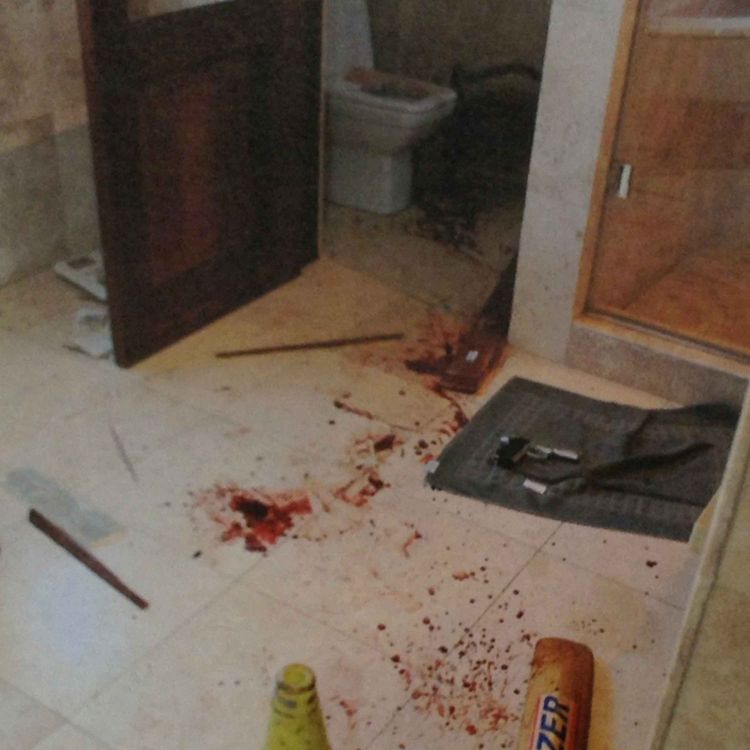 cover art for E08 | Oscar Pistorious & The Murder of Reeva Steenkamp