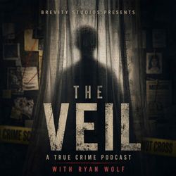 cover art for The Veil