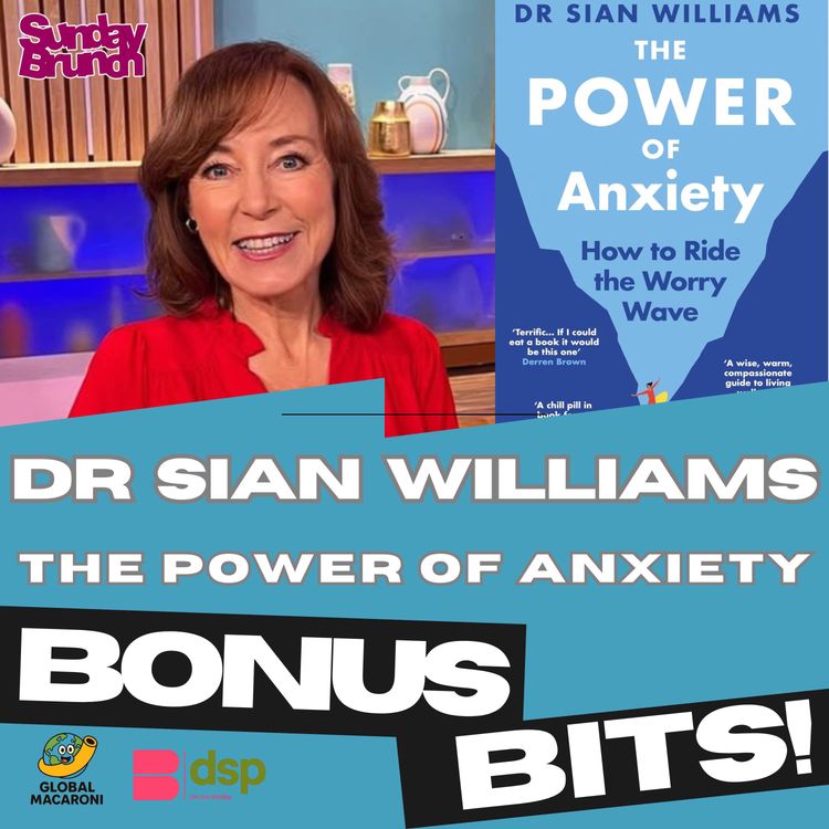 cover art for Bonus Bits: Dr Sian Williams. The Power Of Anxiety