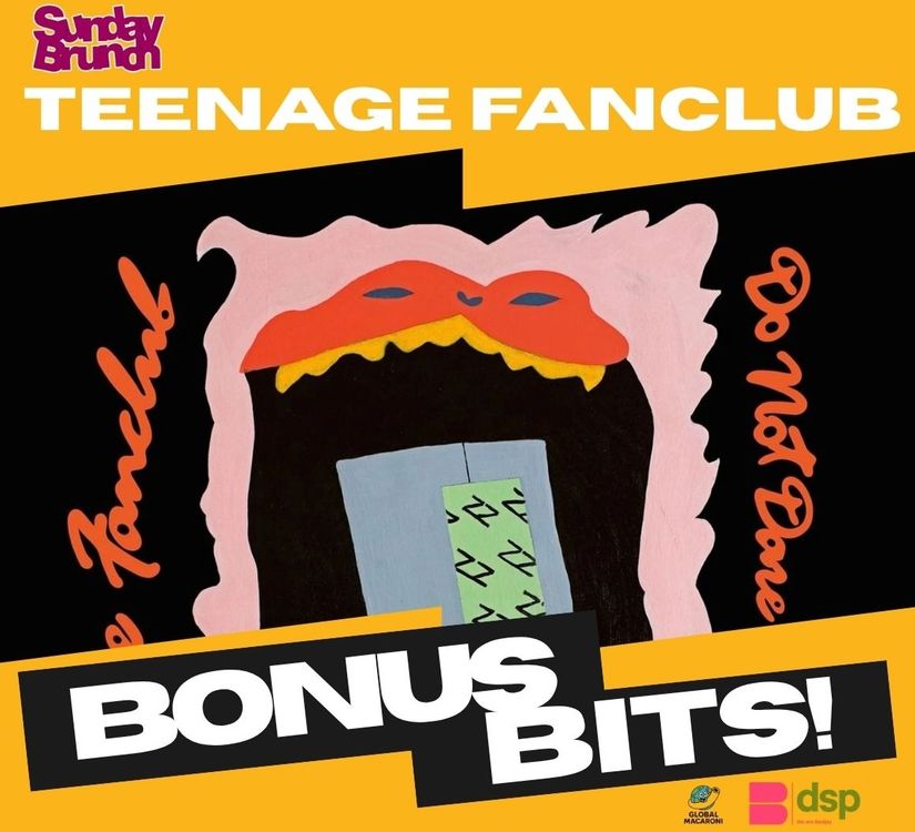 cover art for Bonus Bits: Teenage Fanclub