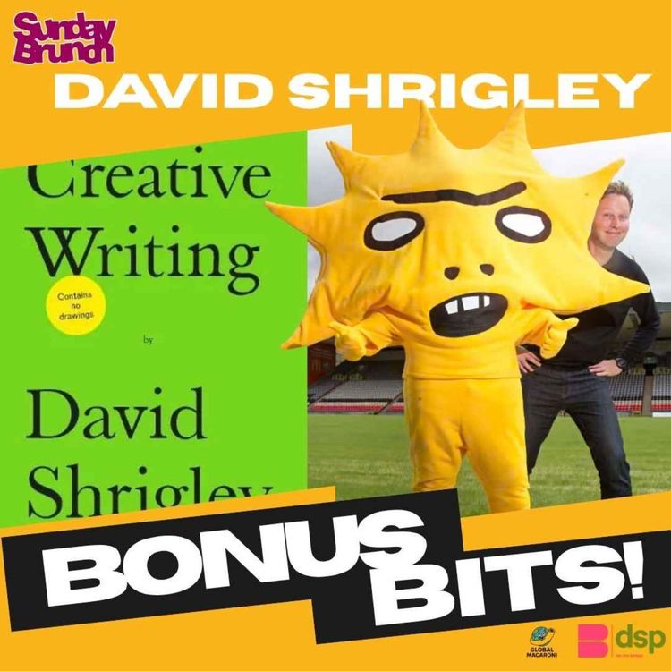 cover art for Bonus Bits: David Shrigley