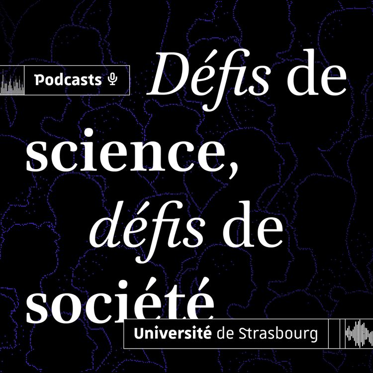 cover art for IA et mathématiques : prédire et mieux comprendre l'univers