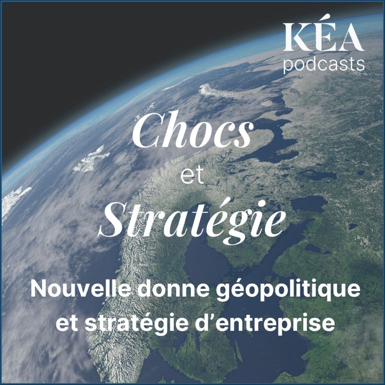 cover art for Nouvelle donne géopolitique et stratégie d'entreprise
