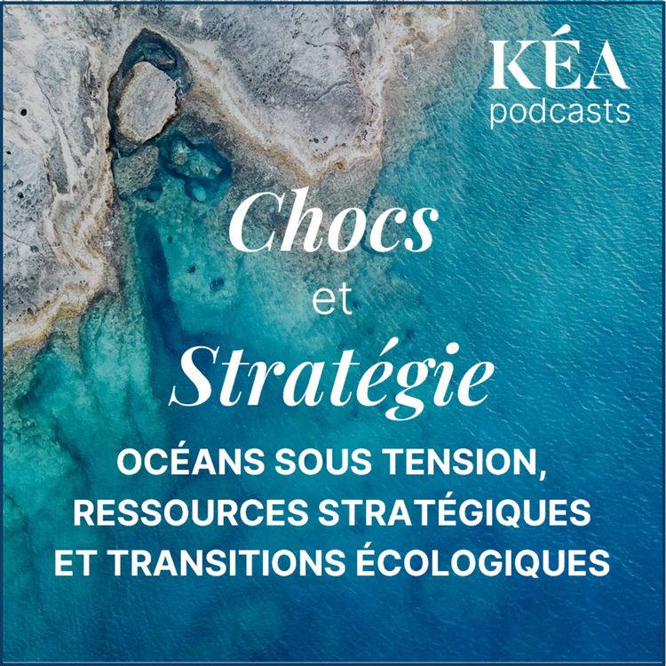 cover art for Océans sous tension, ressources stratégiques et transitions écologiques