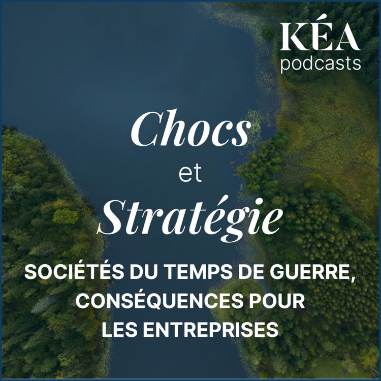 cover art for Sociétés du temps de guerre, conséquences pour l'entreprise