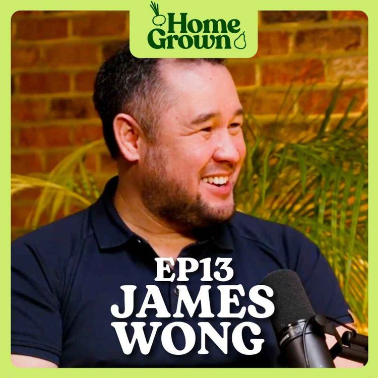 cover art for S1 Ep 13: James Wong 