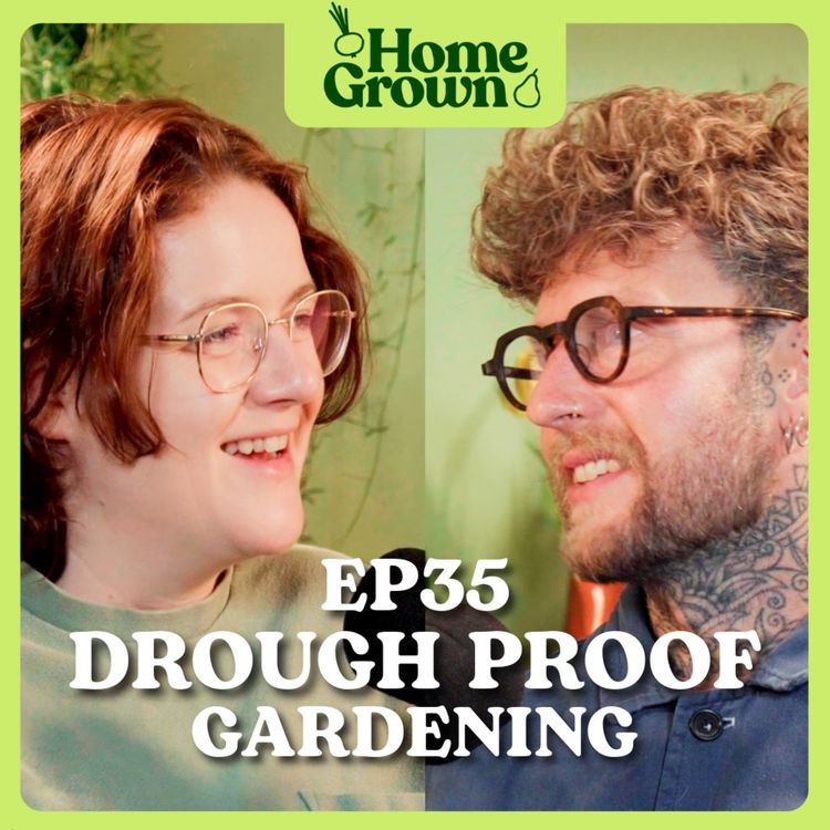 cover art for S1 Ep 35: Drought Proof Gardening: Mulch, Containers and Water Saving Tips