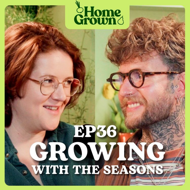 cover art for S1 Ep 36: Growing with the Seasons: Solstice, Bolting and Midsummer Magic