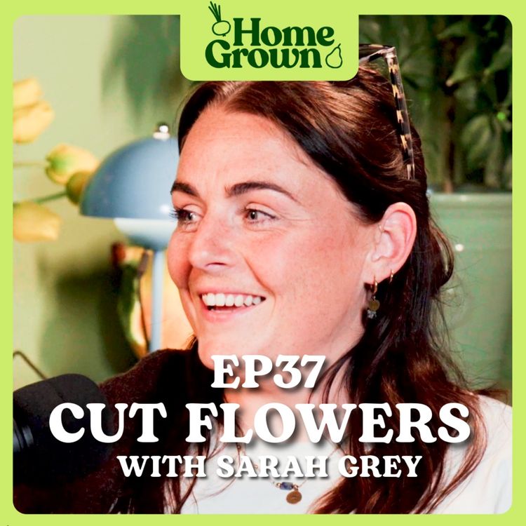 cover art for S1 Ep 37: Grow Your Own Cut Flower Garden with Sarah Grey 