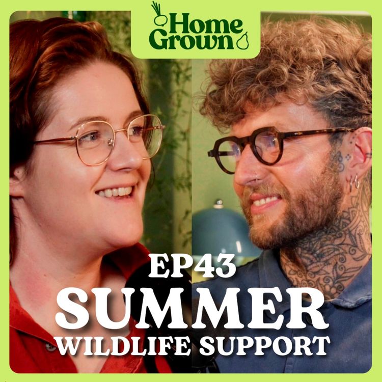 cover art for S1 Ep 43: Supporting Summer Wildlife in Your Garden: Heat Waves, Ponds, Pollinators and More