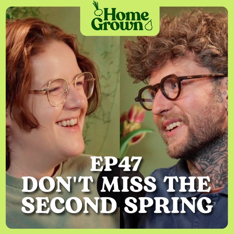 cover art for S1 Ep 47: Don't Miss the Second Spring: Early Autumn is not the end of the growing year!