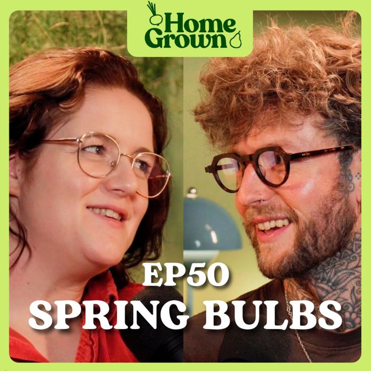 cover art for S1 Ep 50: Spring Bulbs: Tulips, Dandelions, Bulb Lasagnas & Special Announcements!