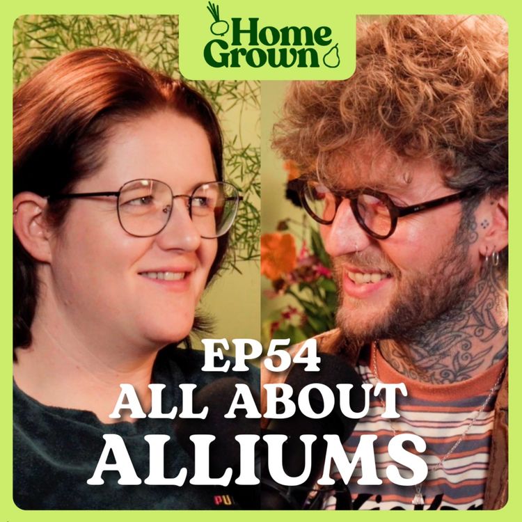 cover art for S1 Ep 54: All about the Alliums: Planting, Pests and Perennial Onions