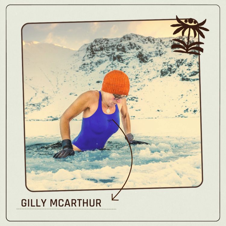 cover art for Gilly McArthur - November, 2025