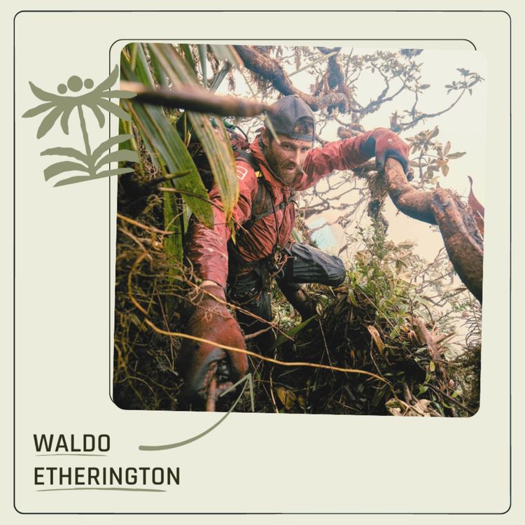 cover art for Waldo Etherington - April, 2026