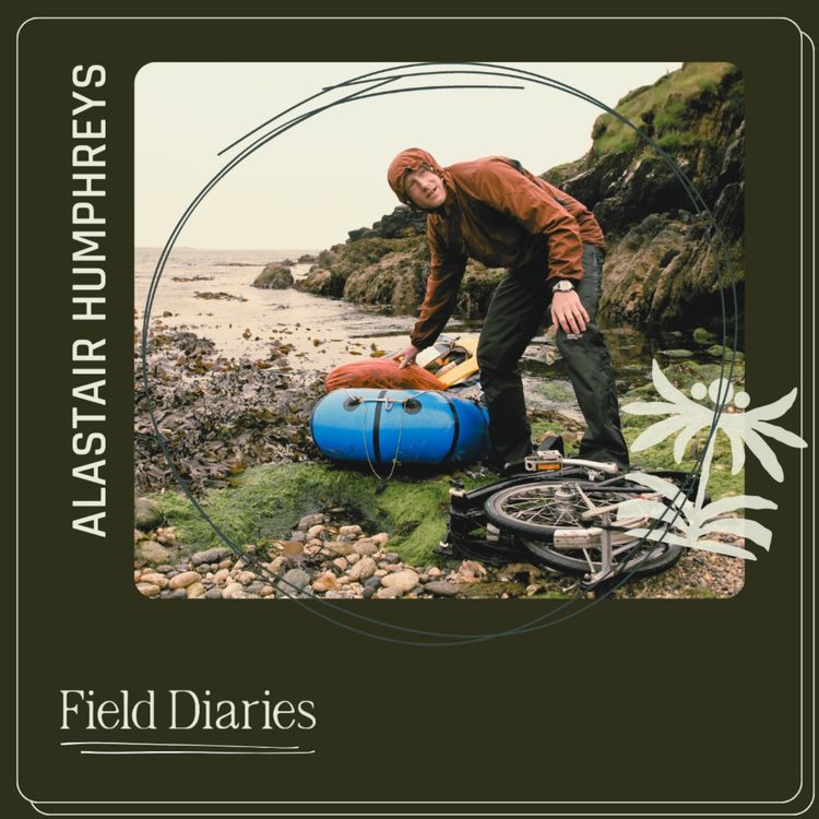 cover art for Al Humphreys - August, 2026