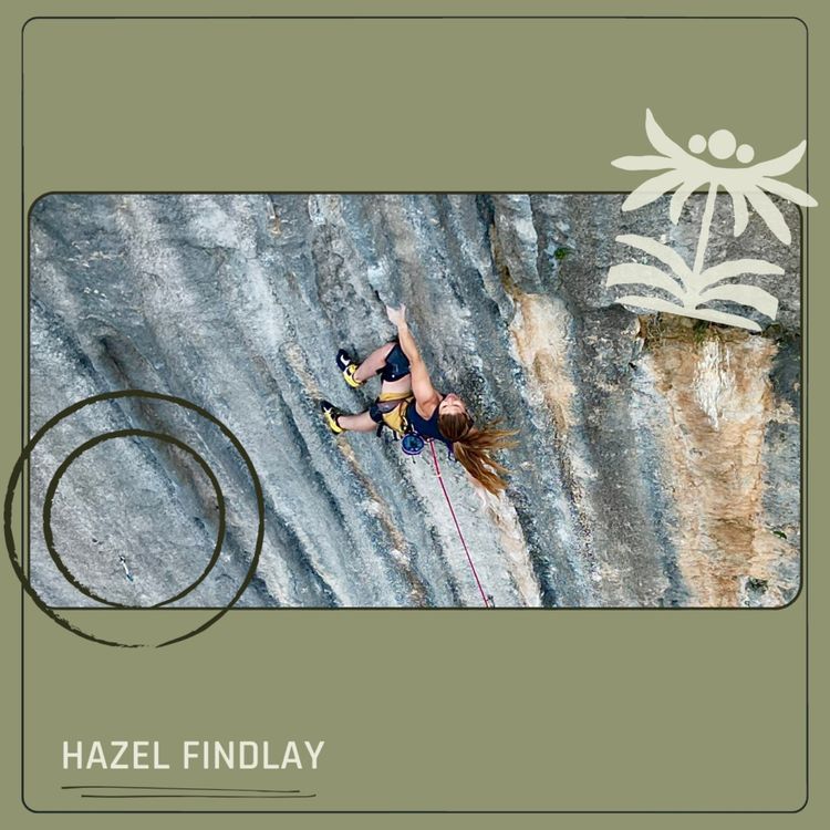 cover art for Hazel Findlay - August, 2026