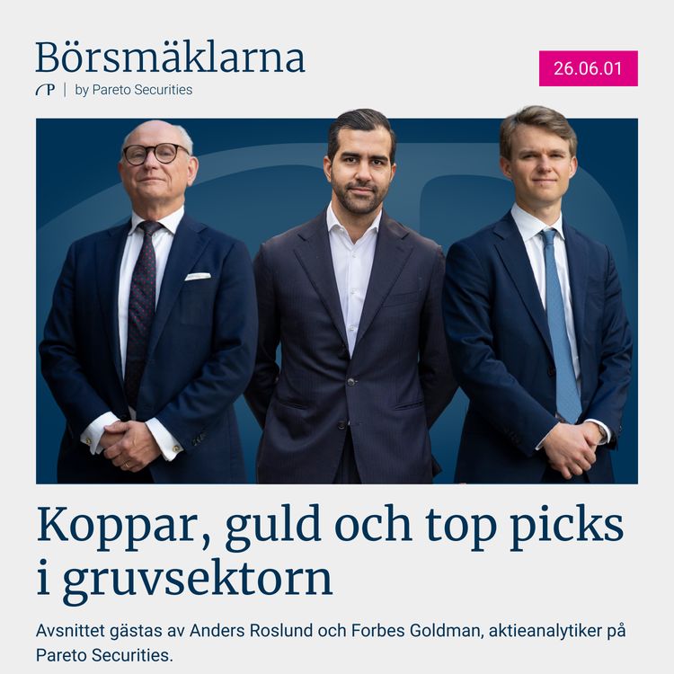 cover art for Koppar, guld och top picks i gruvsektorn