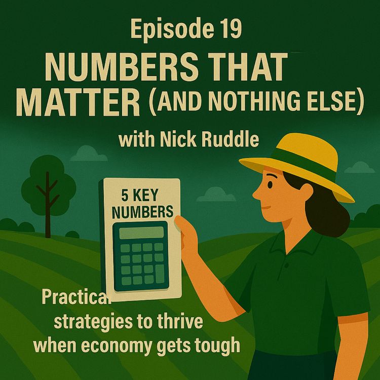 cover art for Numbers That Matter (and Nothing Else)