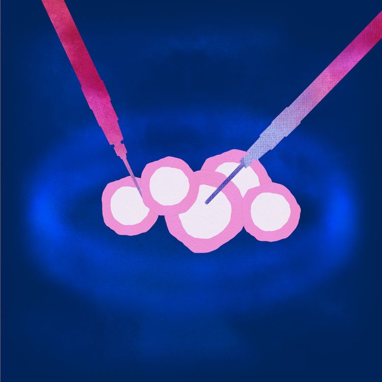 cover art for Comment les embryons deviennent des bébés ?