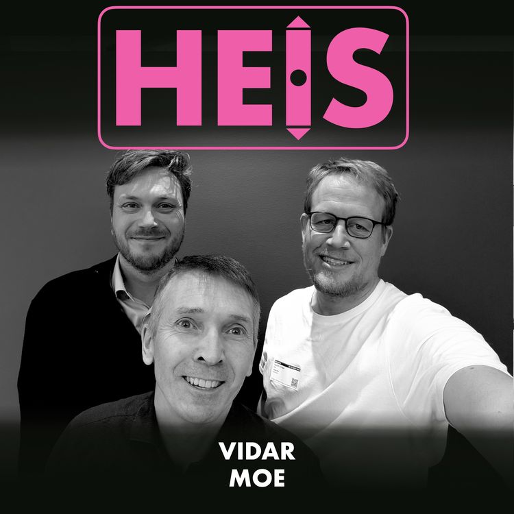 cover art for Vidar Moe