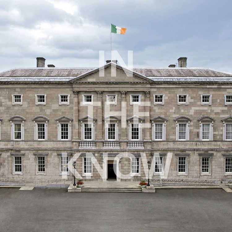 cover art for The Year in Irish Politics: 2025