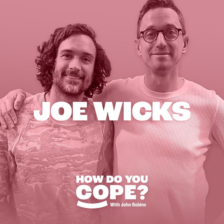 cover art for Joe Wicks: ‘The antidote to addiction is connection’ | 5