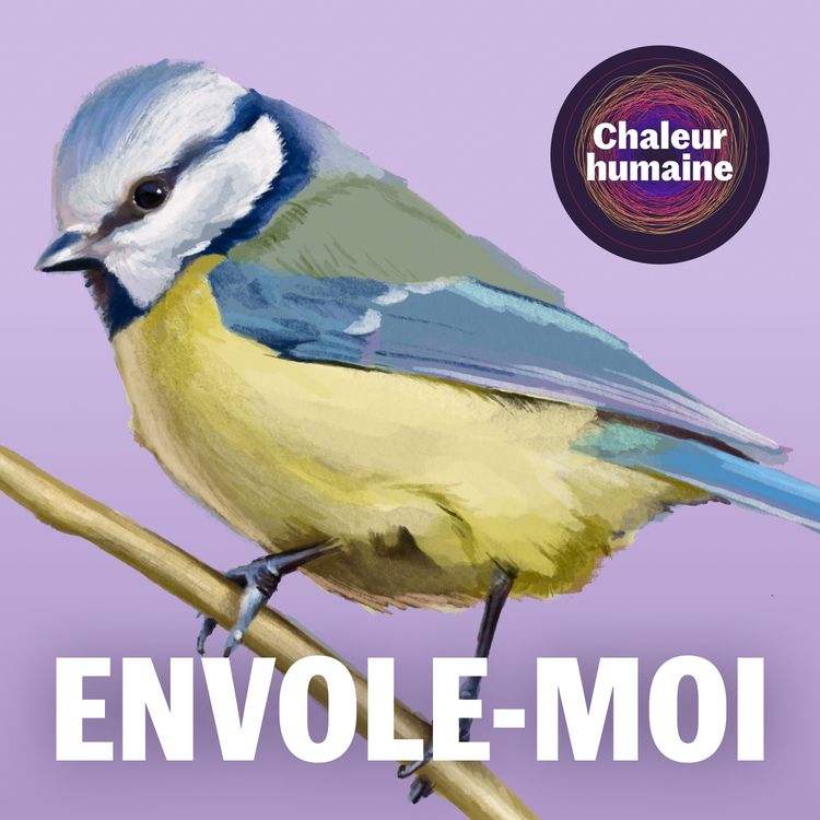 cover art for Envole-moi : la mésange bleue (2/6)