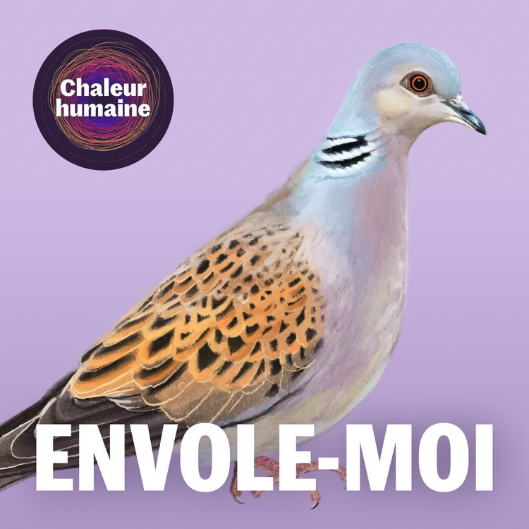 cover art for Envole-moi : la tourterelle des bois (3/6)