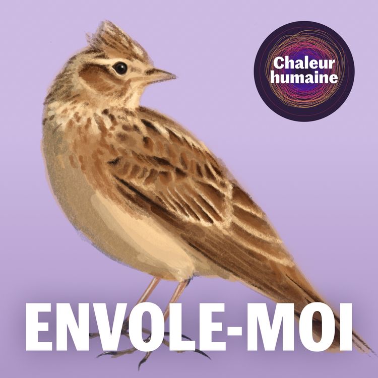 cover art for Envole-moi: l'alouette des champs (5/6)