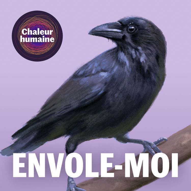 cover art for Envole-moi: la corneille noire (6/6)