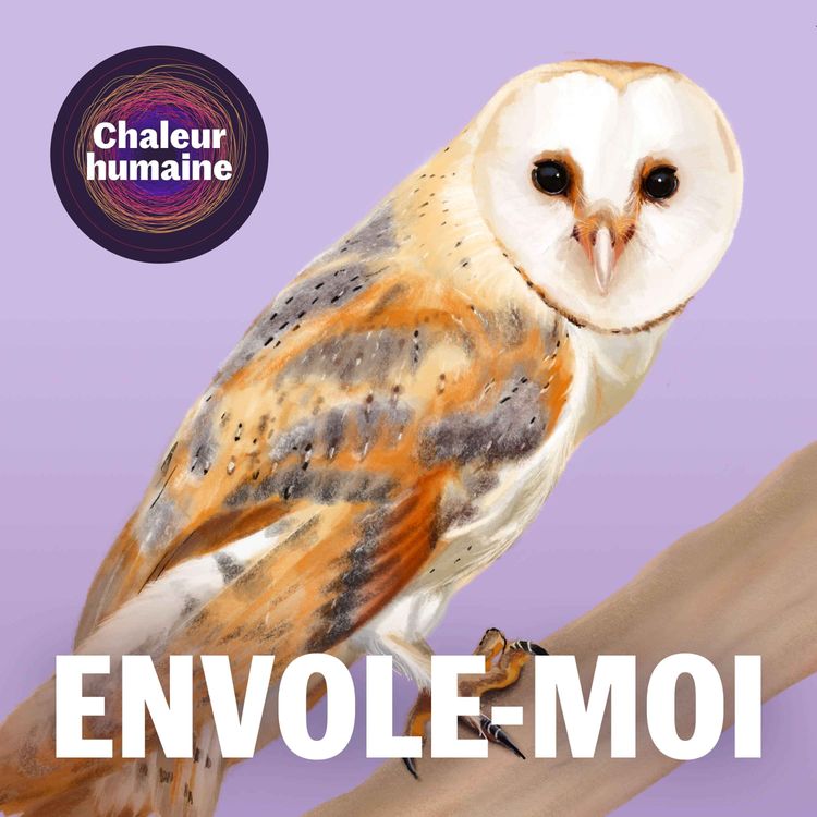 cover art for Envole-moi : La chouette effraie (1/6)