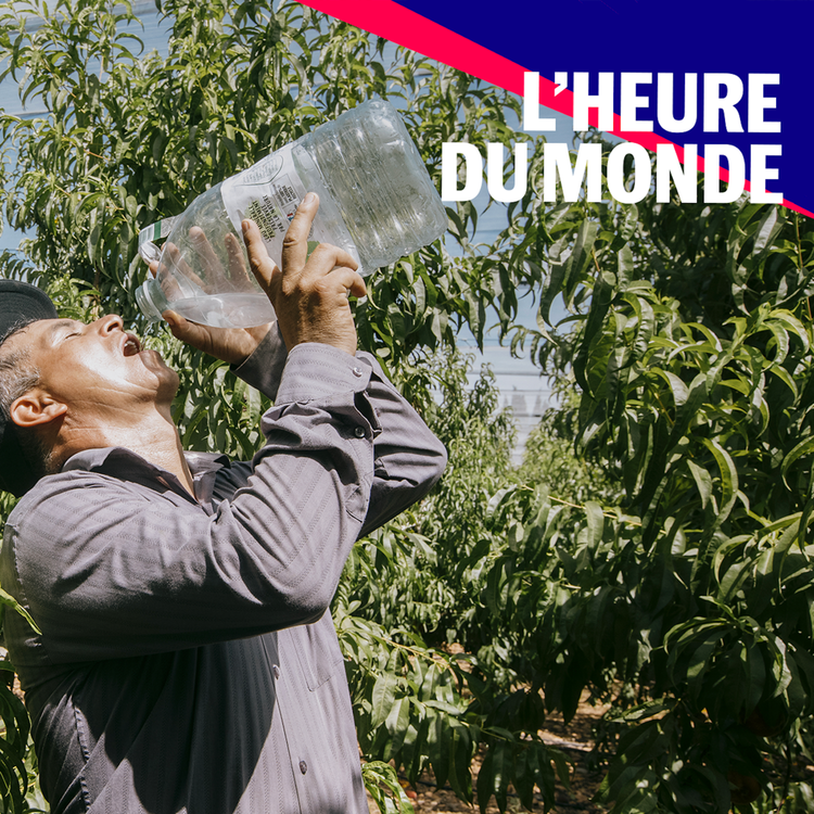 cover art for Réchauffement climatique : pourquoi l’objectif de 1,5 °C est désormais hors d’atteinte