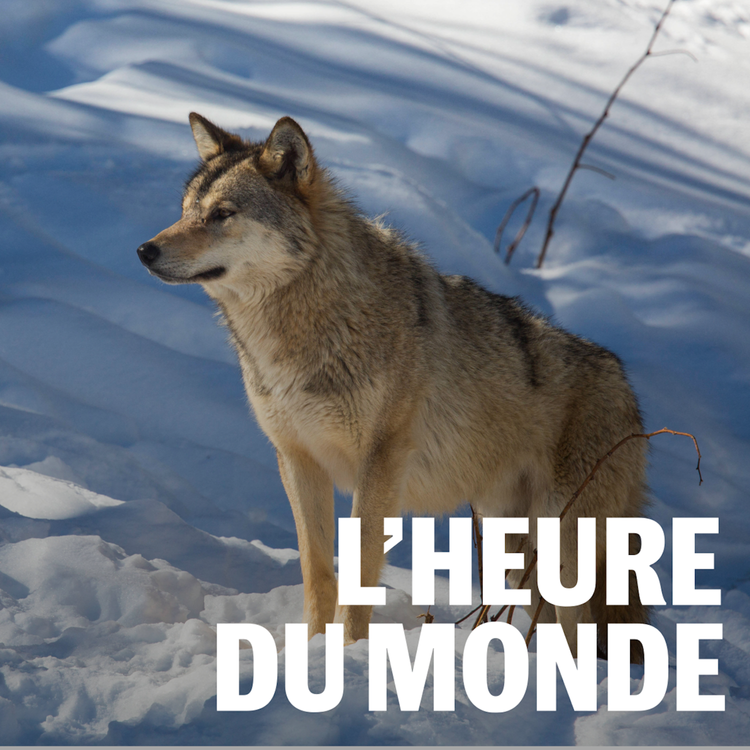 cover art for Pourquoi le loup déchaîne les passions