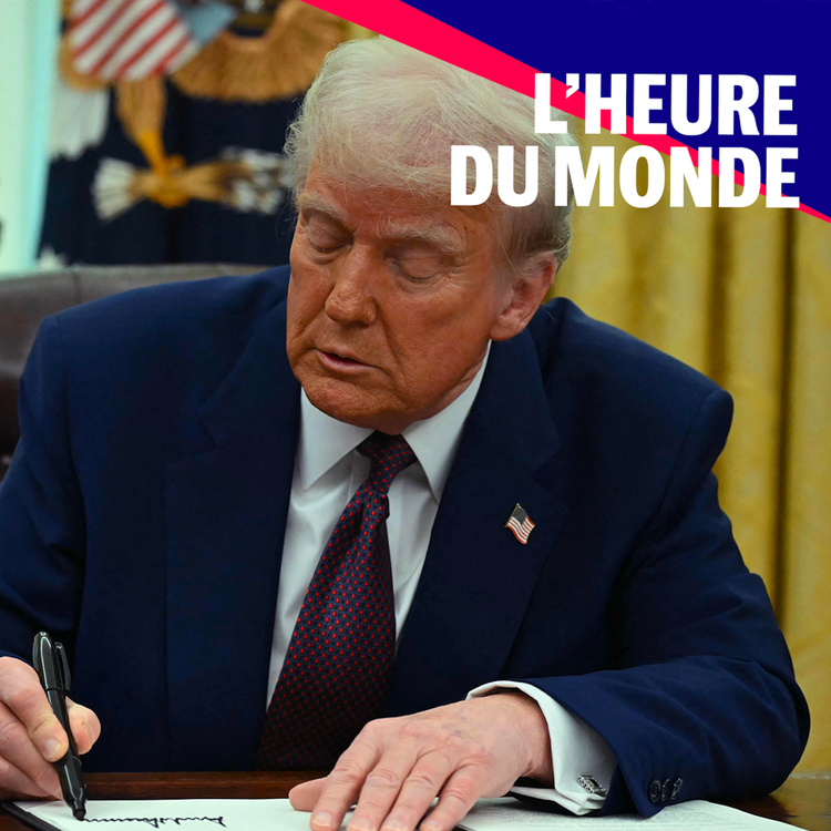 cover art for Droits de douane : tout comprendre aux effets de la politique de Donald Trump