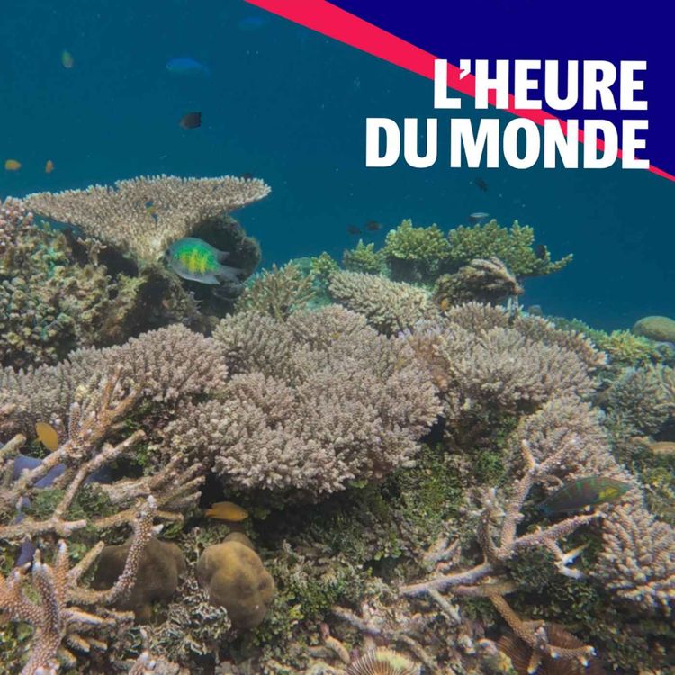 cover art for Limites planétaires : la Terre vers un point de non-retour ?