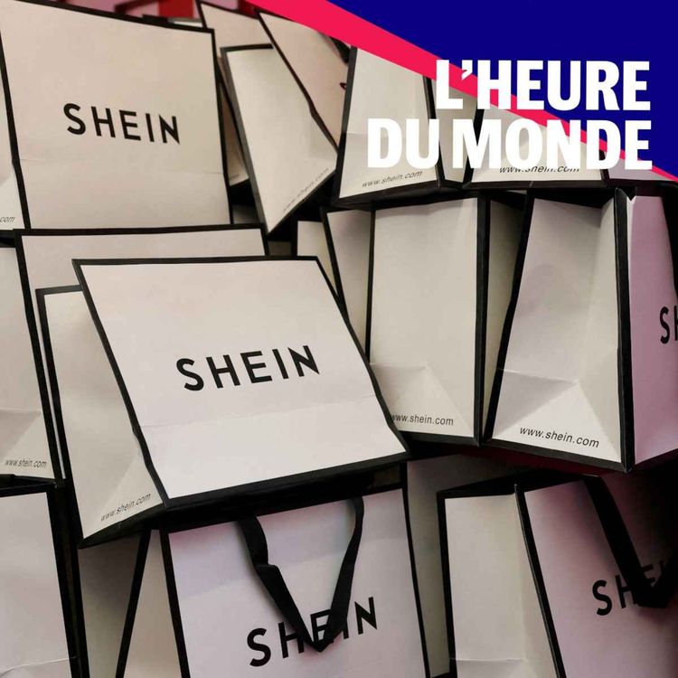 cover art for Shein : la plateforme chinoise pourrait-elle être suspendue en France ?