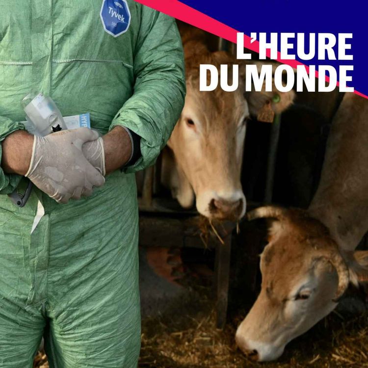 cover art for Pourquoi la dermatose nodulaire alimente la colère des agriculteurs français ?