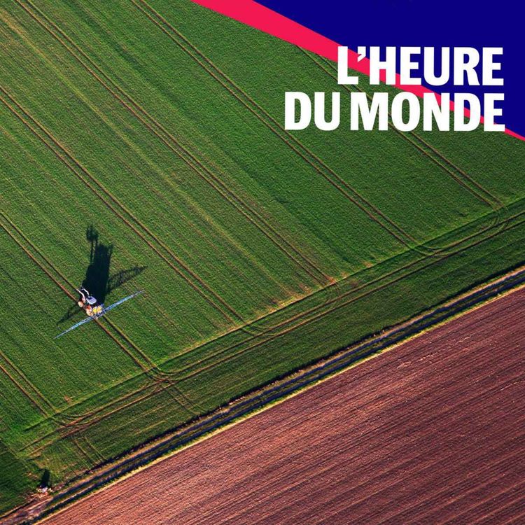 cover art for Cadmium : une bombe sanitaire et toujours pas de réglementation