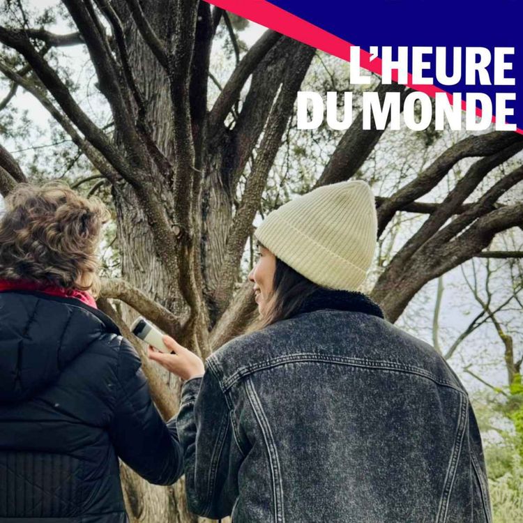 cover art for Bienfaits de la nature sur la santé : que dit la science ?
