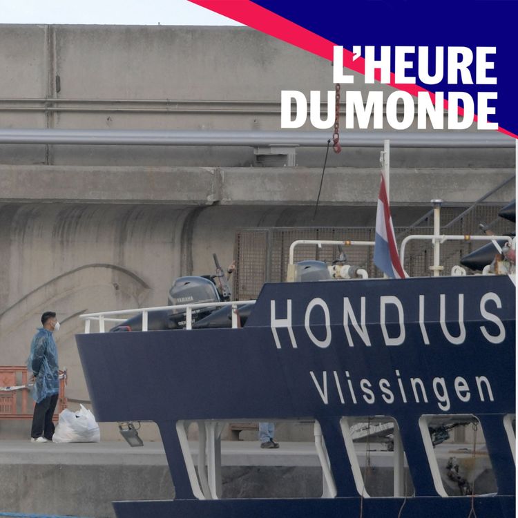 cover art for Hantavirus : existe-t-il un risque de propagation ?