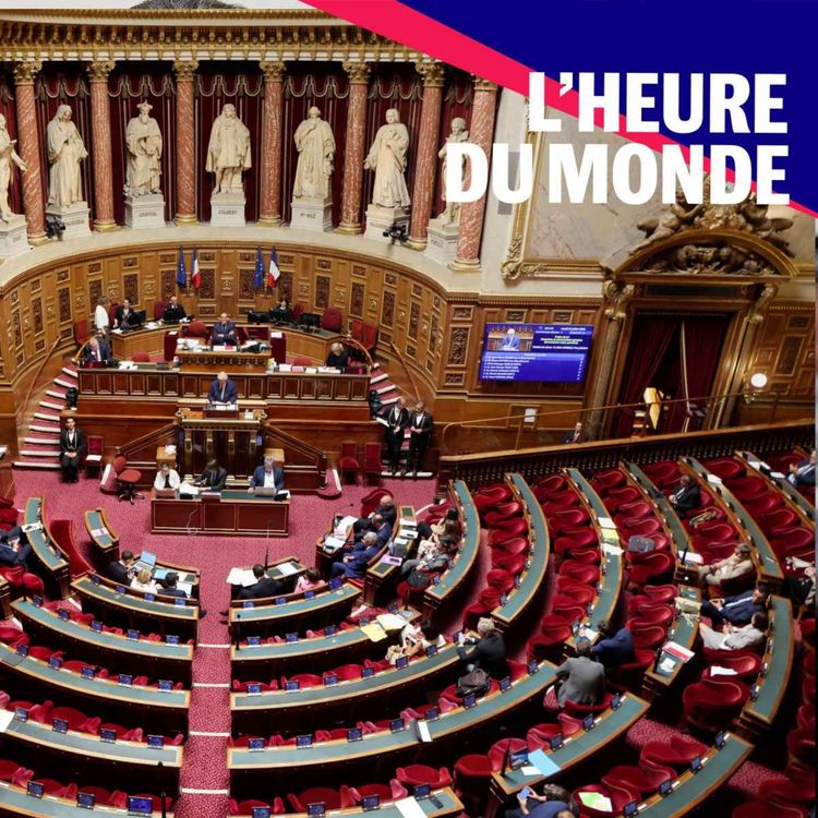 cover art for Sénatoriales : tout comprendre à ces élections méconnues mais cruciales