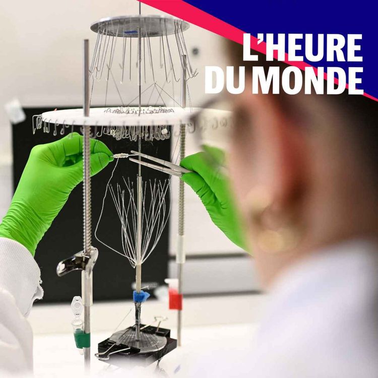 cover art for Pourquoi la recherche française est-elle en crise ?