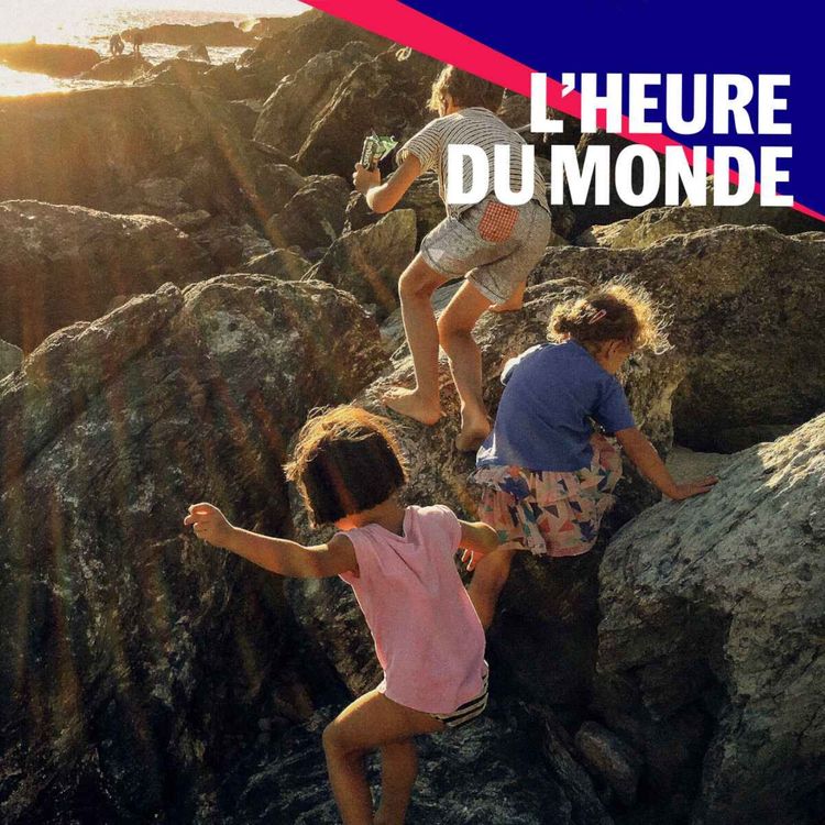 cover art for Baisse de la natalité en France : la faute aux femmes ?