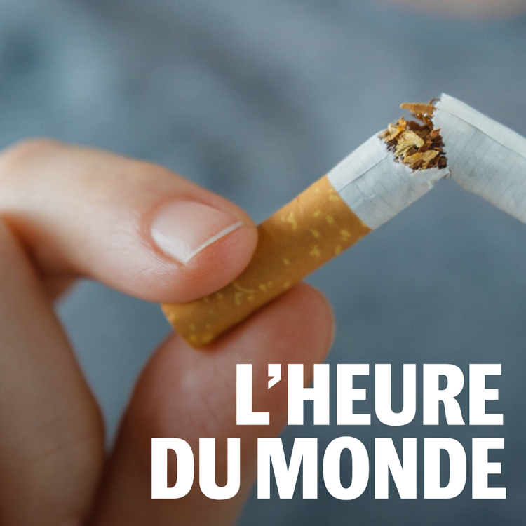 cover art for La cigarette, une « bombe écotoxique » pour l’environnement
