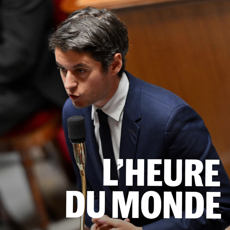 cover art for Niveau à l’école : faut-il mettre fin au collège unique ?