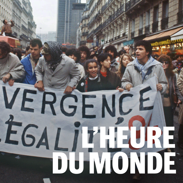 cover art for Immigration : société plus ouverte, mais vote à l’extrême droite, le paradoxe français