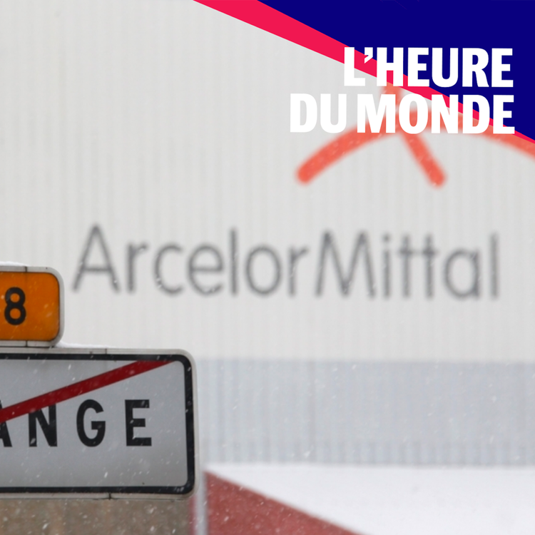 cover art for ArcelorMittal : une saga de la désindustrialisation française