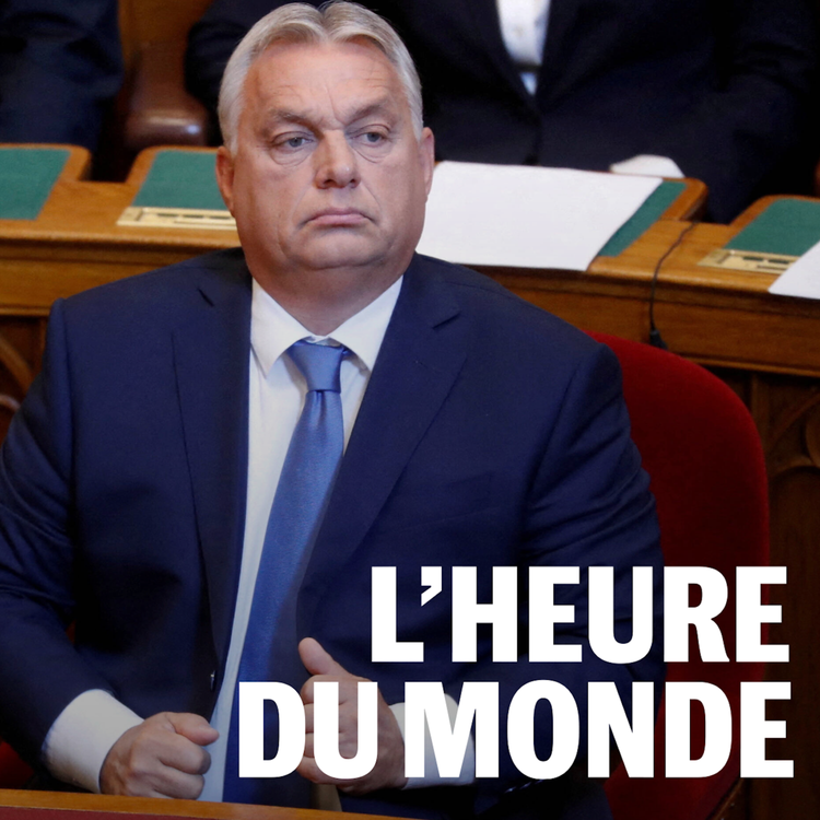 cover art for Ni tout à fait démocratie, ni autoritarisme : qu’est-ce que l’illibéralisme ?